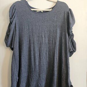 Steel Blue 2X Ruched Sleeve Top